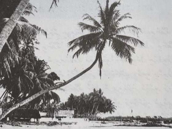ގދ. ގައްދޫ — 16 ޖުލައި 1959